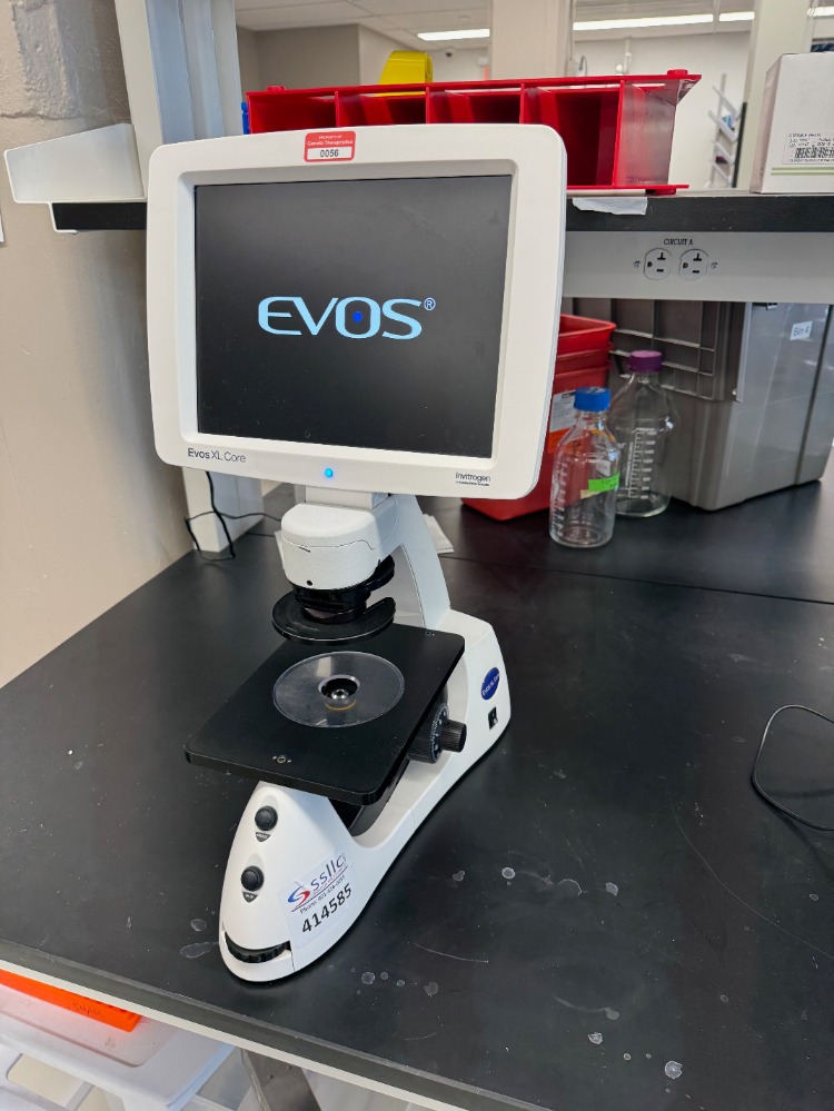 Image of Invitrogen Evos XL Core Microscope